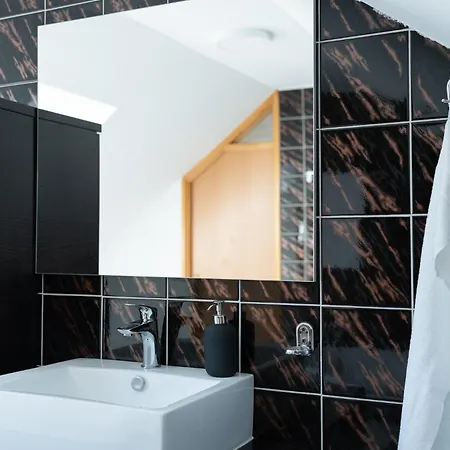 Big Duplex Terrace Free Parking Center לובליאנה