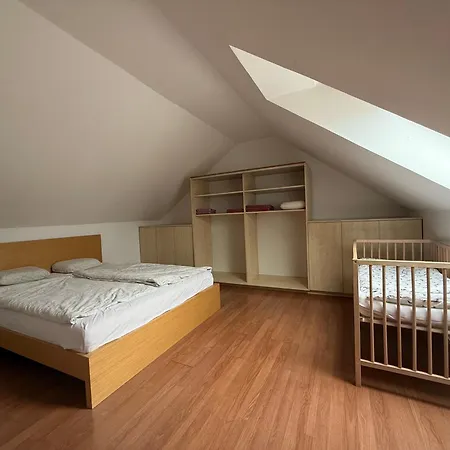 Big Duplex Terrace Free Parking Center Ljubljana