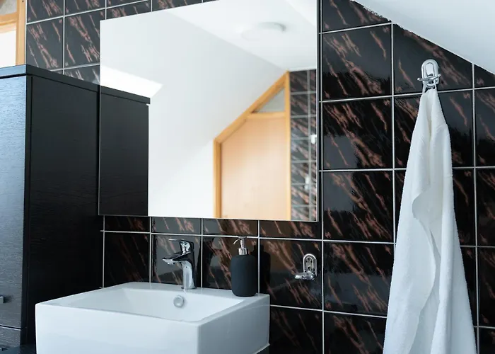 Big Duplex Terrace Free Parking Center Lublana