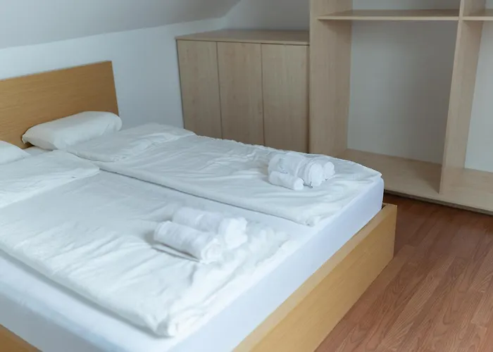 Big Duplex Terrace Free Parking Center Apartma Ljubljana